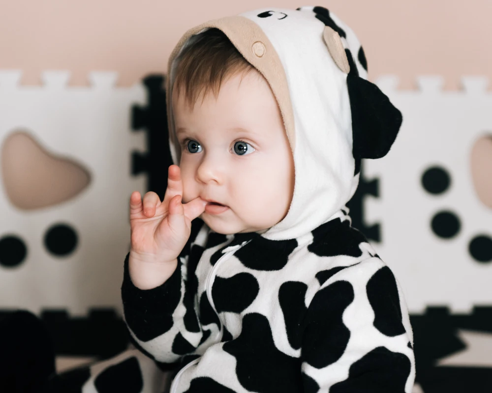 automatic bassinet rocker