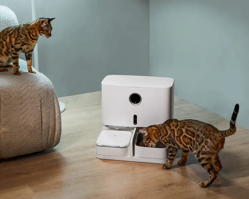 pet food automatic dispenser