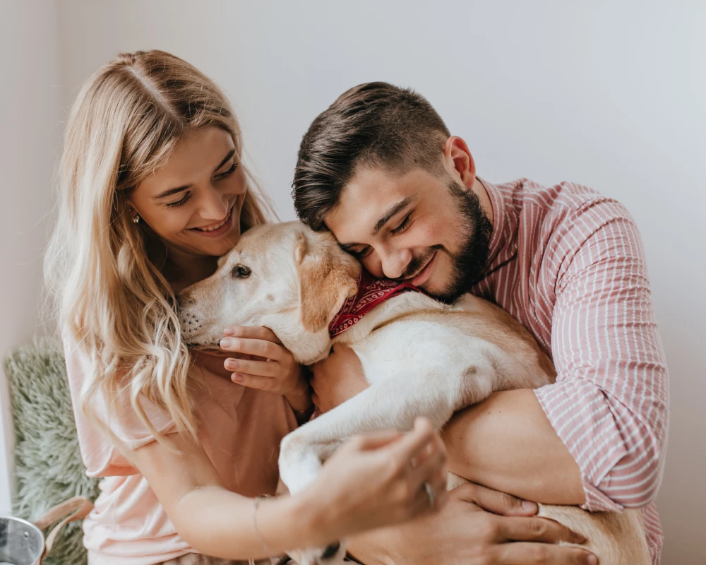 dog automatic pet feeder